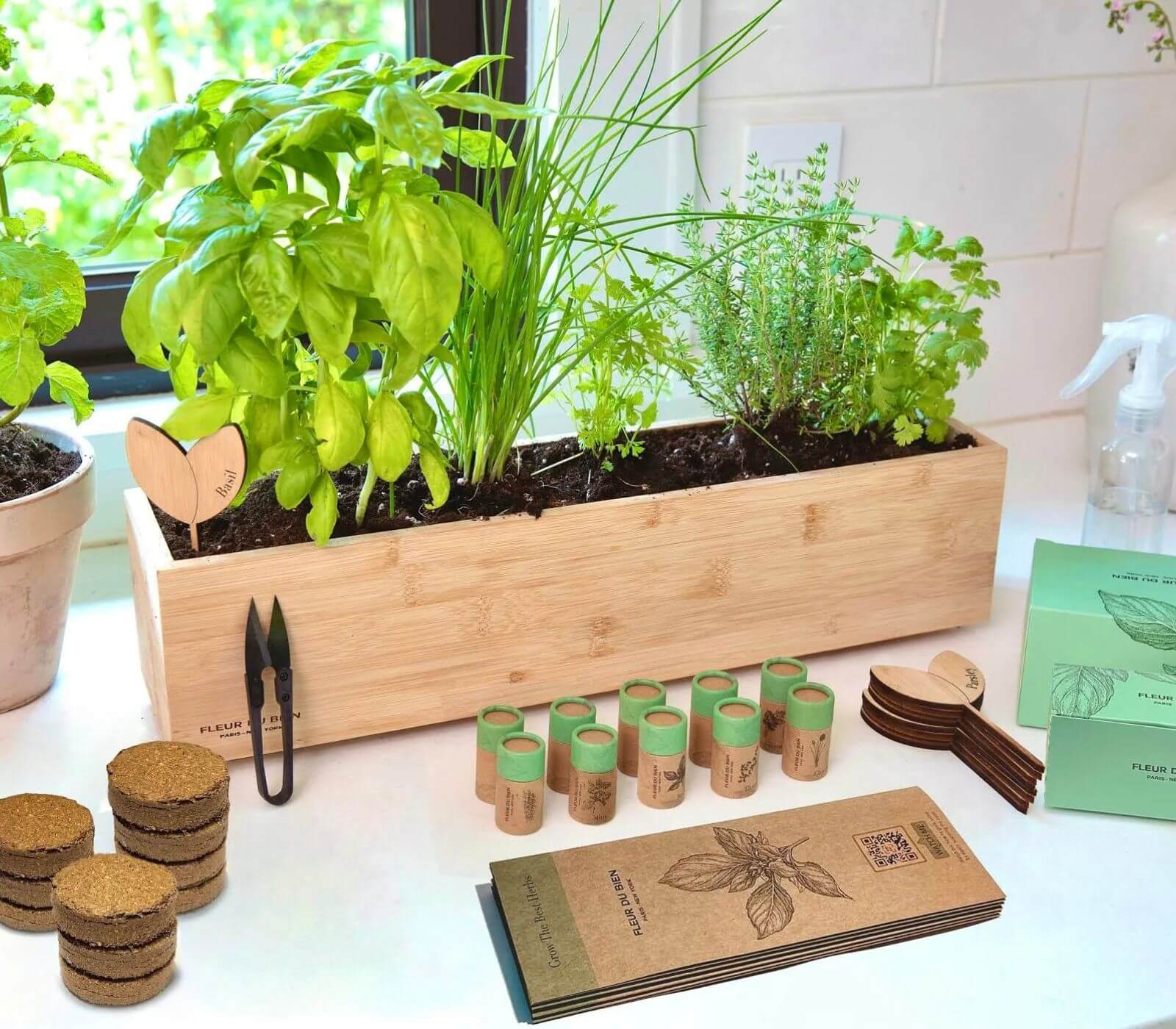 Miniature Herb Garden Kit as Unique Gifts Beginning with M