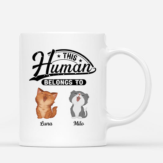 0843MUS1 Personalized Mugs Gifts Walking Cat Lovers