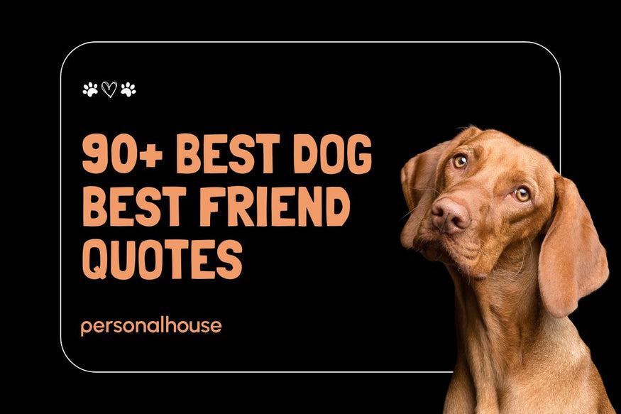 90+ Dog Best Friend Quotes to Celebrate Your Furry Companion