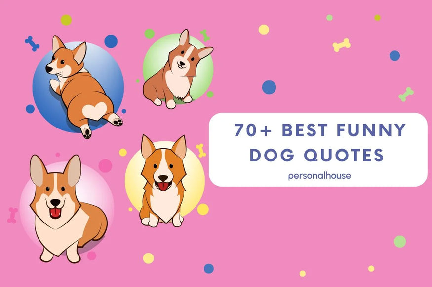 70+ Funny Dog Quotes, Phrases & Sayings to Make You Giggle