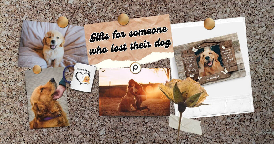 Gifts For Someone Who Lost Their Dog