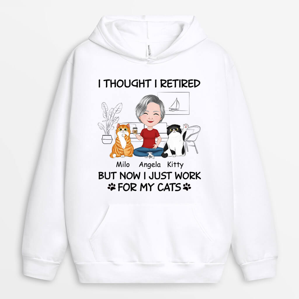 1046HUS1 Personalized Hoodie Gifts Retirement Cat Cat Lovers