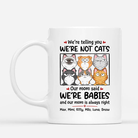 1926US1 personalized were not cats we are baby mug