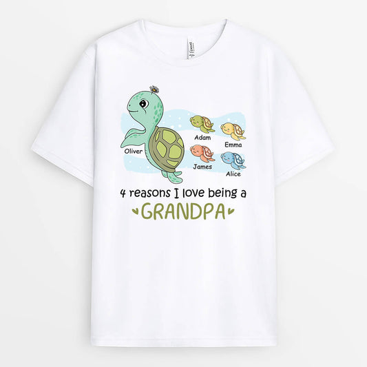 2129AUS2 personalized 4 reasons i love being a dad grandpa turtle t shirt