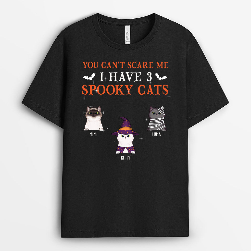 0450A108DUS2 Personalized T Shirts Presents Cat Lovers Halloween